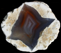 Dumbrava Thundereggs